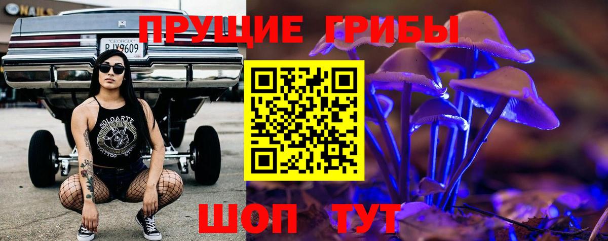 Галлюциногенные грибы Psilocybine cubensis Дятьково